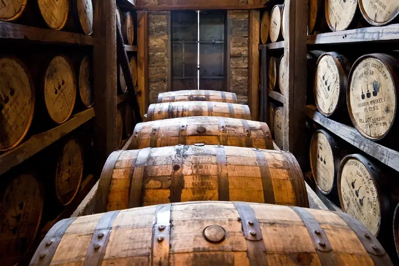 Experiencia en bodega: visita y cata