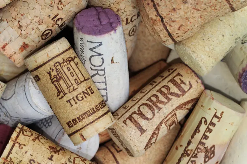 Visita guiada a bodegas + degustación de 3 vinos
